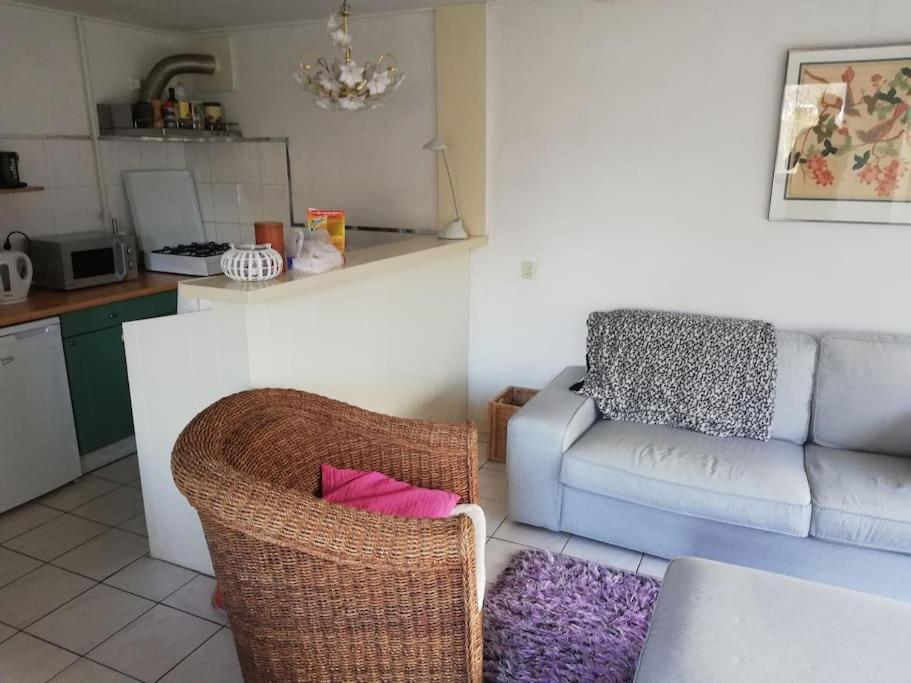 Cottage Egmond-Binnen Met Besloten Tuin Exterior photo