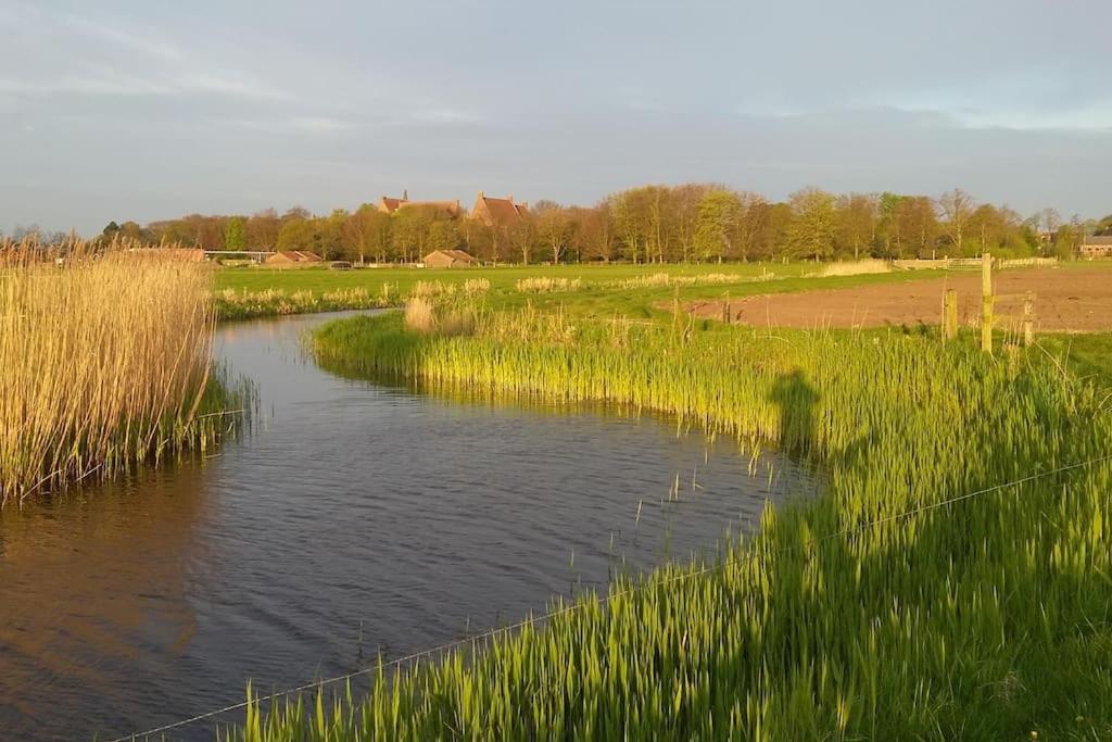 Cottage Egmond-Binnen Met Besloten Tuin Exterior photo